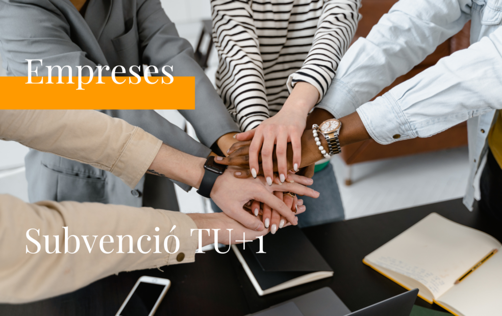 Subvenció Tu+1 (2024) • Serveis d'assessoria i gestoria.
