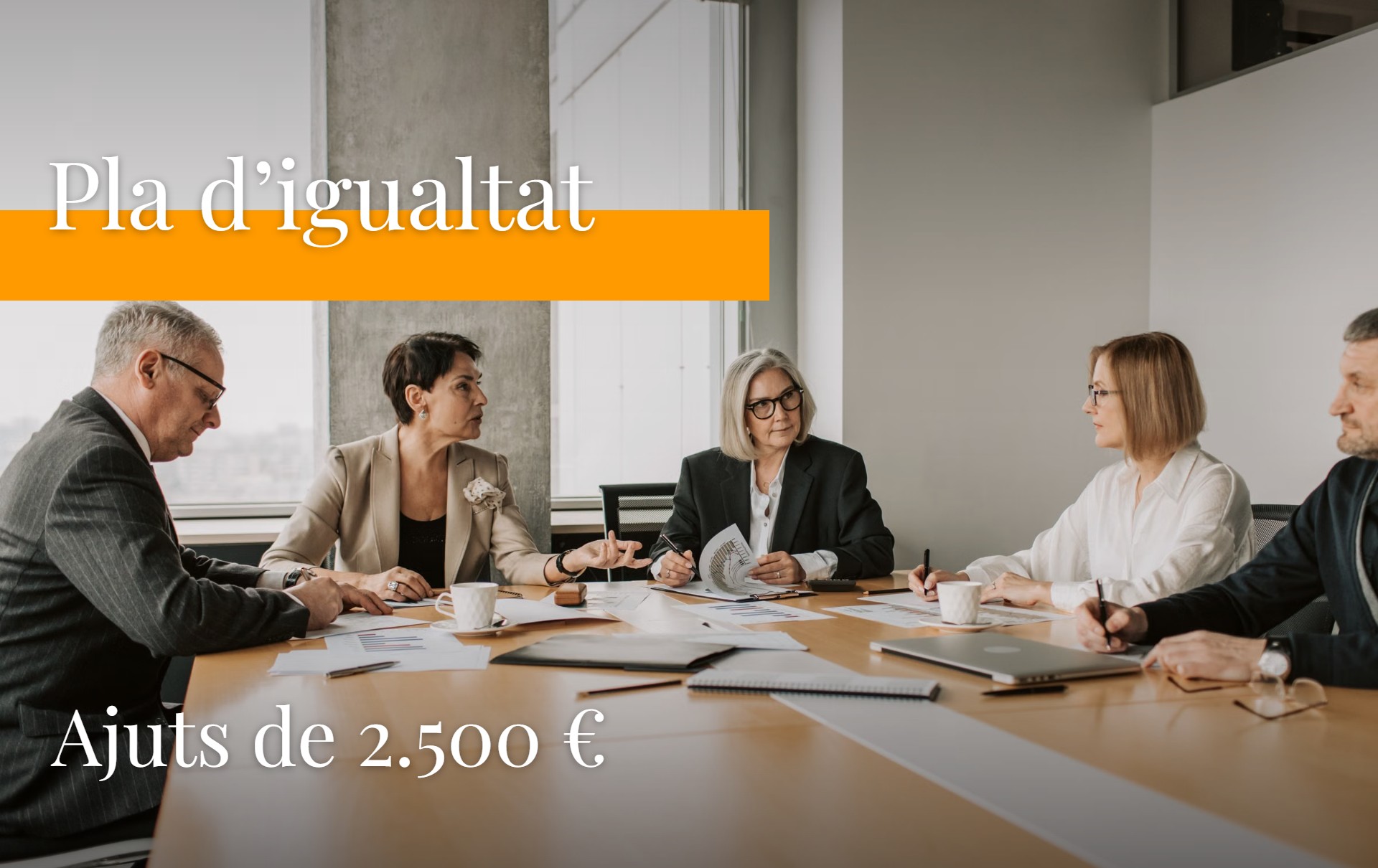 Pla d’igualtat - Ajuts de 2.500 €